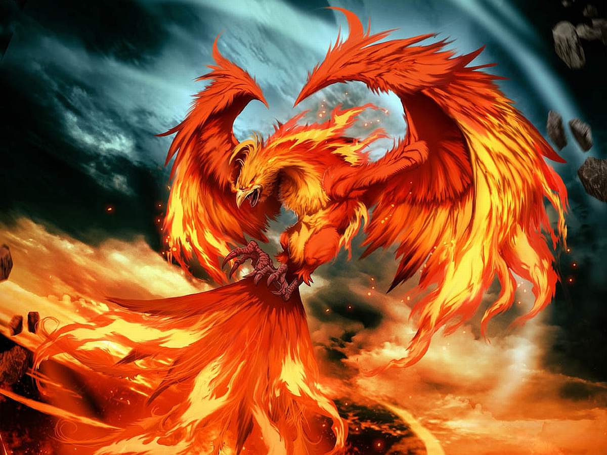 The Phoenix